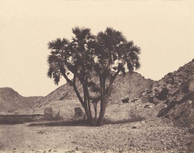 Égypte et Nubie. Sites et monuments - Félix Teynard